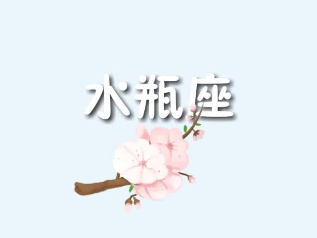 水瓶座运势星座屋(水瓶座今日星座运势星座屋)