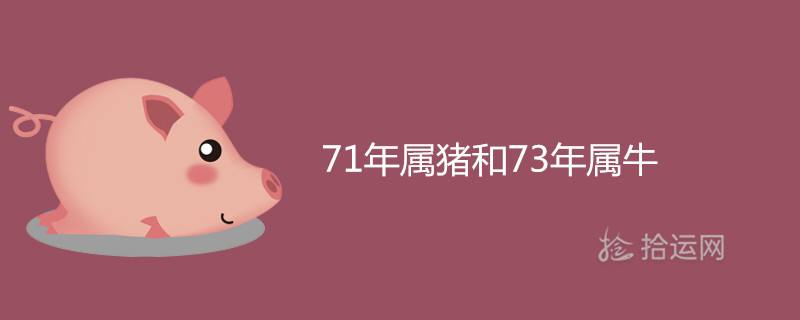 1971年属猪2020年运势(1971年属猪2020年运势如何)