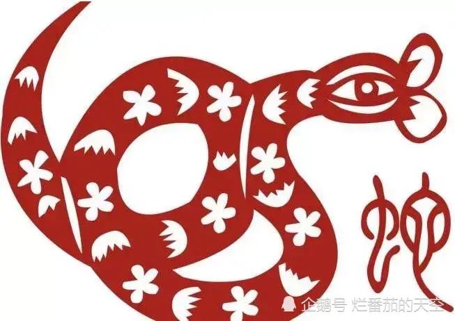 属猪跟属蛇的人合不合(属猪跟属蛇的人合不合适)