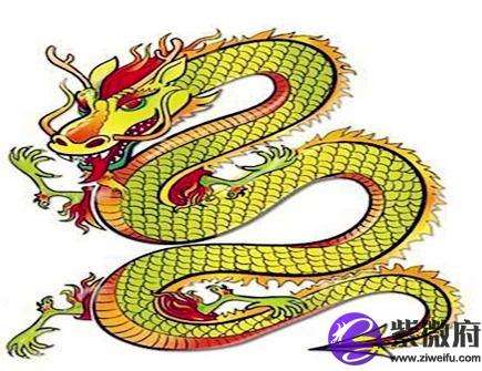 2016年属龙的人的运势(2016年属龙的人的运势如何)
