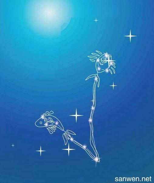 今日星座双鱼座男运势(今日星座双鱼座男运势如何)