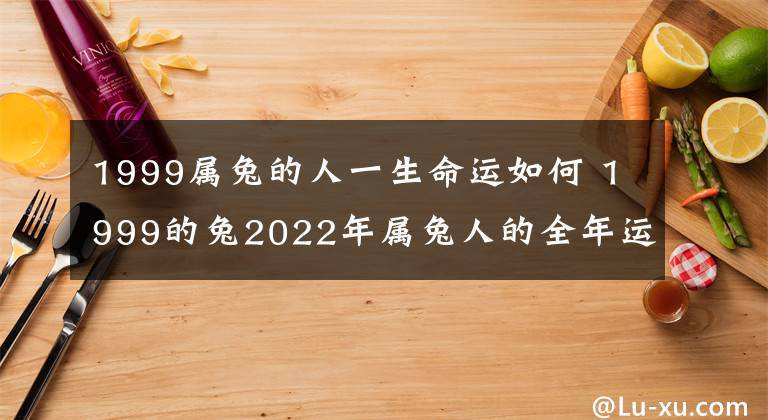 今年12月属兔的运势(农历12月属兔的运势如何)