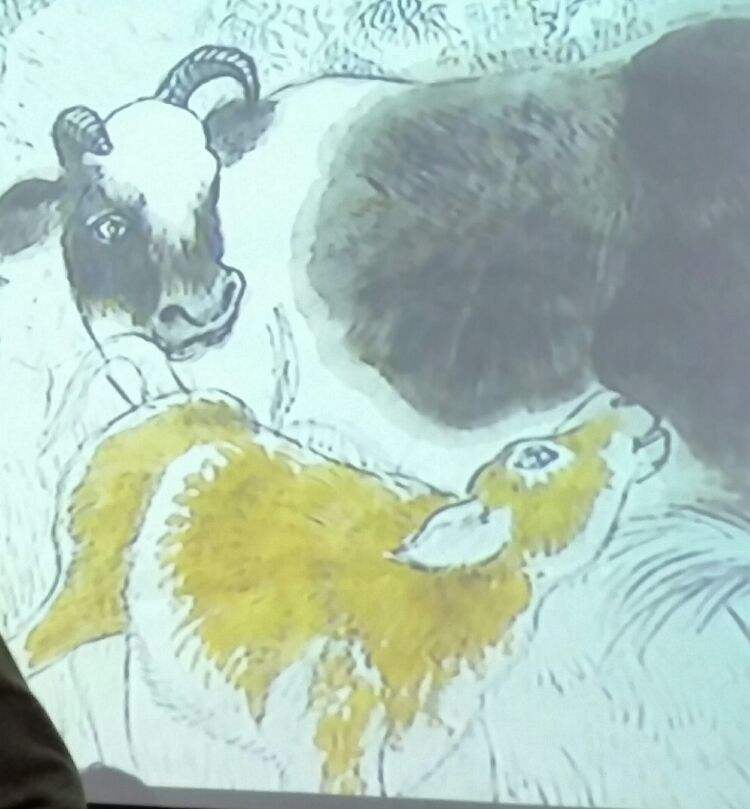 鸡和牛母子合不合(鸡和牛的属相合不合)