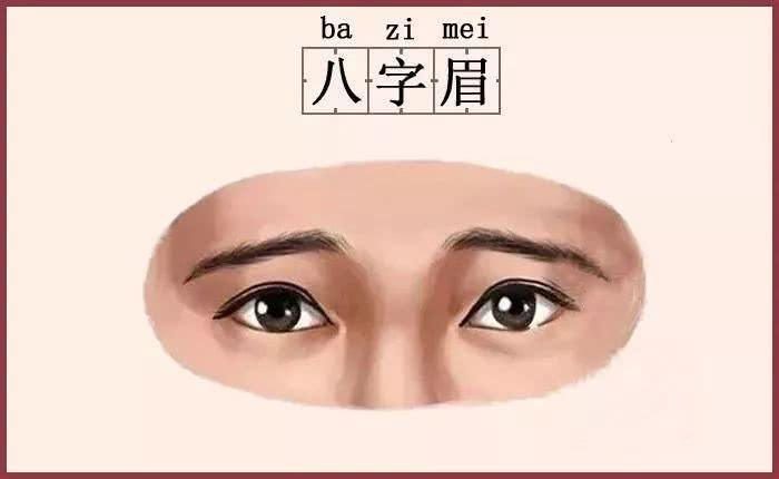 种眉的运势(八字眉的运势)