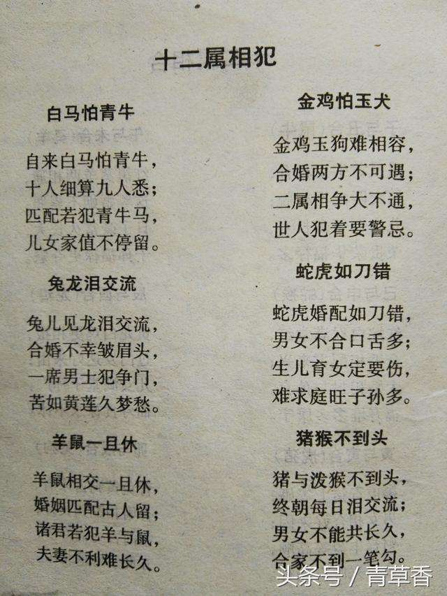 算男女八字合不合(怎么算男女生辰八字合不合)