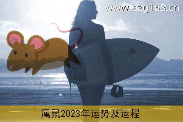 属鼠2019年运势女(女属鼠2020年运势详解)