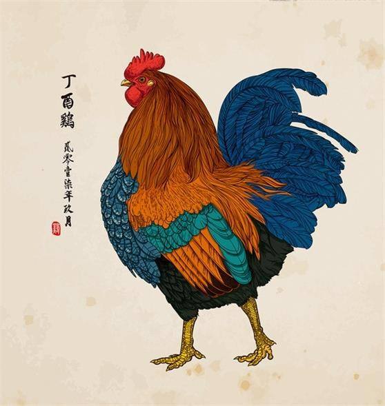 属鸡2017鸡年运势(属鸡2017鸡年运势怎么样)