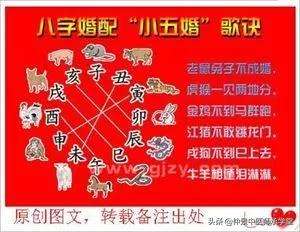 火命和金命合不合母子(火命和金命合不合母子好)
