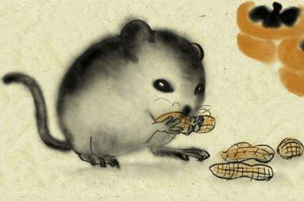 属老鼠今天运势(属老鼠的今日运势)