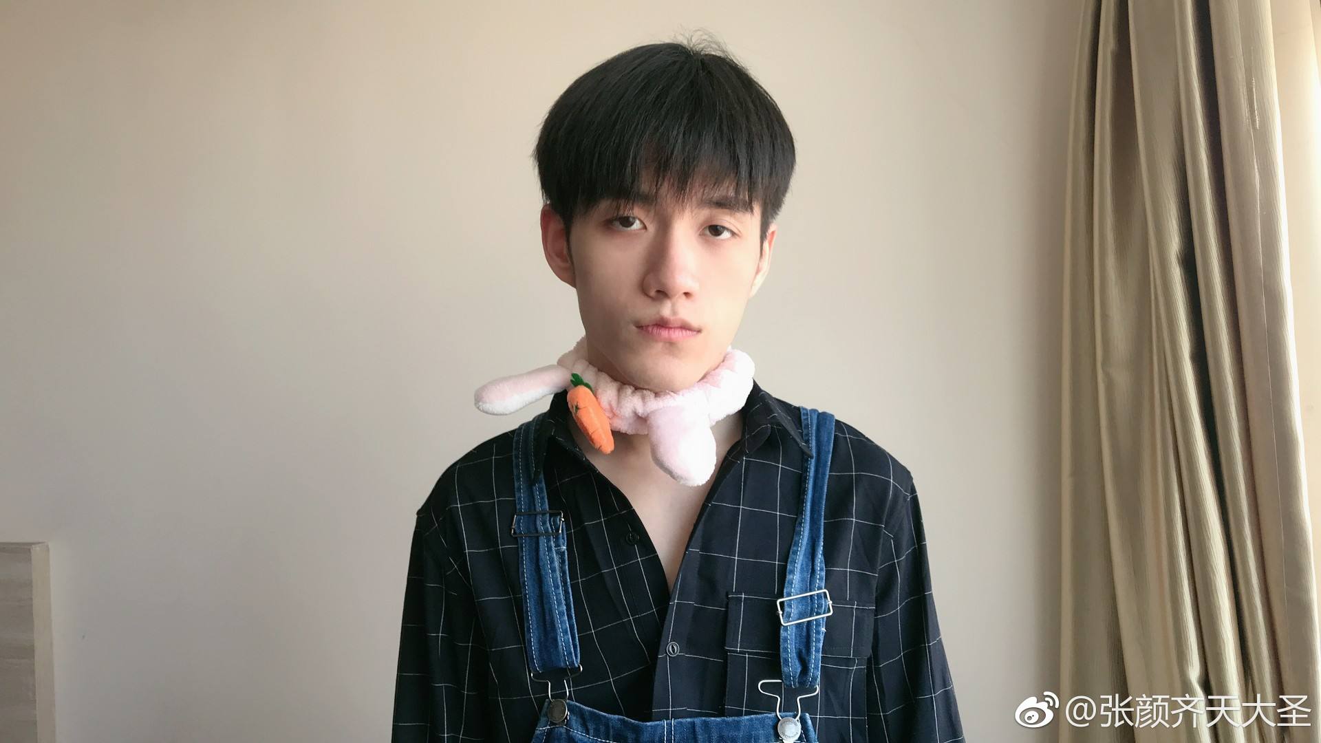 张颜齐运势(张颜齐个人简介)