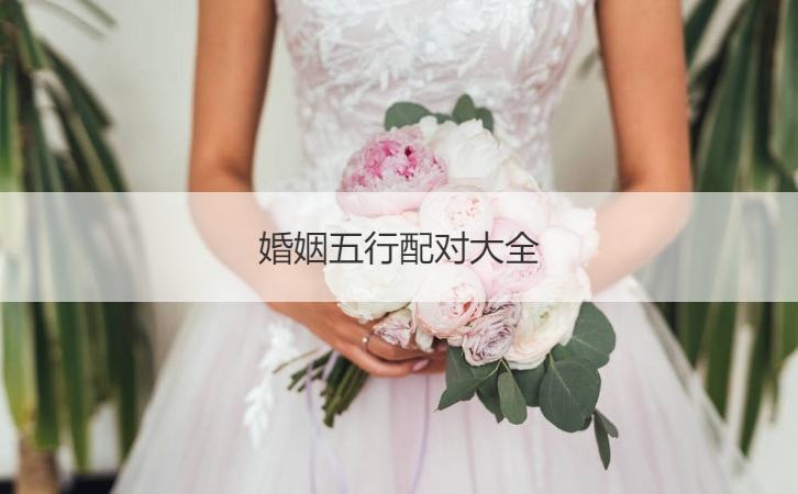 生肖合五行不合的夫妻(婚姻不合的六种生肖组合)