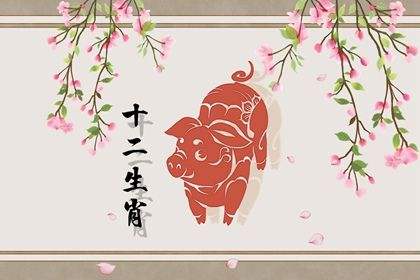 95年2016运势(95年出生的一生运势)