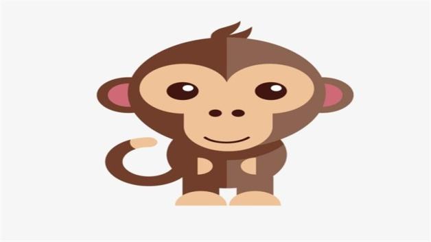 属猴和兔合不合适(属猴和兔合不合适婚姻)