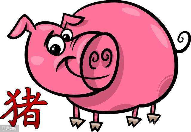 今年属猪的每月运势(属猪的每个月份的运势)