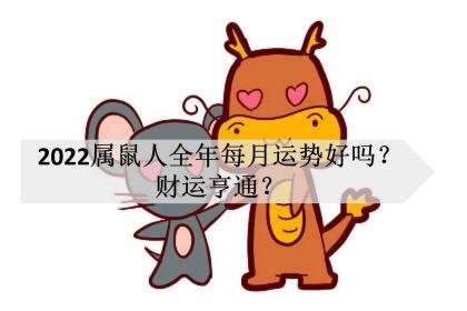 八字鼠年运势(八字鼠年运势如何)