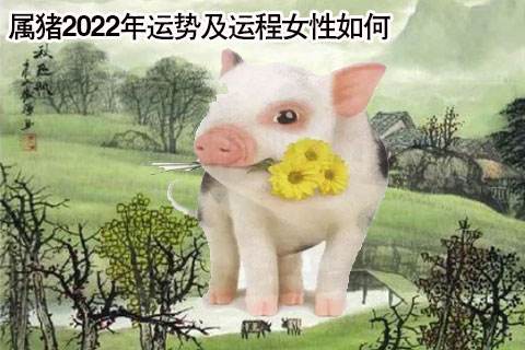 关于2015属猪9月运势的信息