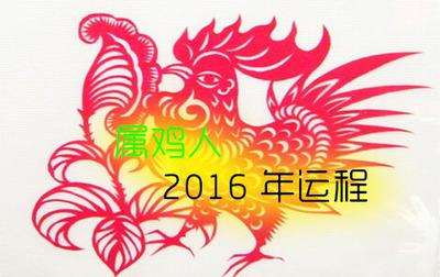 93年属鸡2016运势(93年属鸡2017年运势)