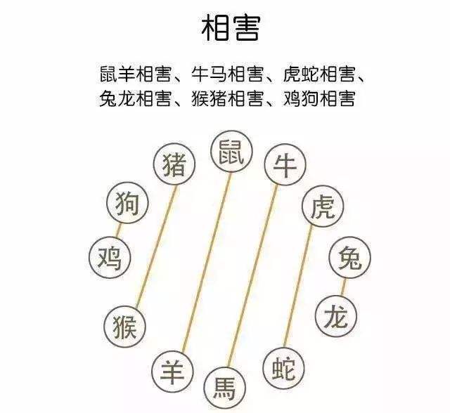 辛巳和癸卯合不合婚(辛巳和癸卯合不合婚配)