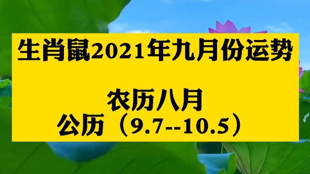 关于鼠2015年10月运势的信息