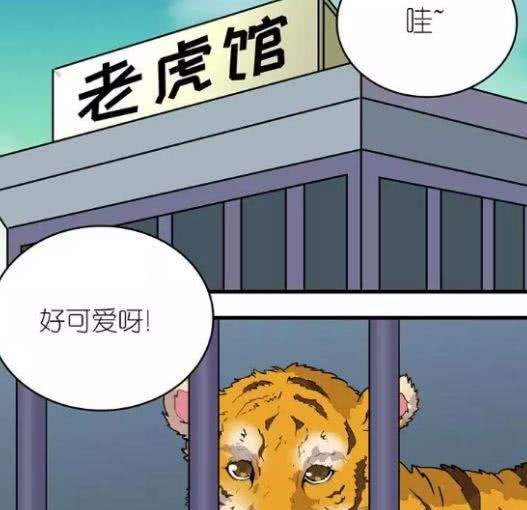 猴跟虎做朋友合不合(猴跟虎做朋友合不合呢)