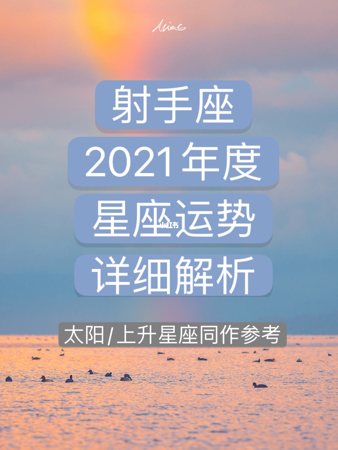 射手座2019年下半年运势(射手座2019年下半年运势查询)