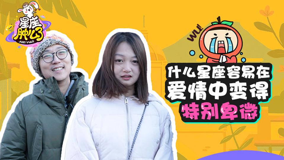 最精准的星座查询(精准星座查询星座屋)