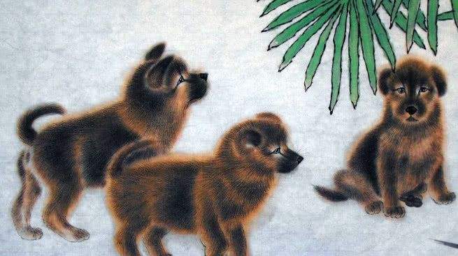 属狗人与属牛人合不合婚(属狗的人和属牛的人合不合)