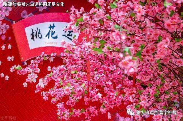 八字桃花合不合(八字桃花合和桃花冲)