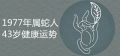 1977年属蛇男2019年运势及运程(1977年属蛇男2019年的运势和婚姻)