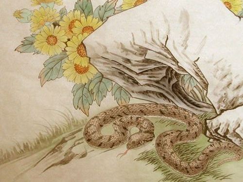 属蛇的三月份运势(属蛇的人3月运势如何)