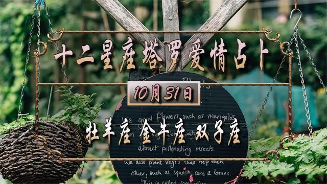 羊双子座2015运势(双子座2017年运势详解)