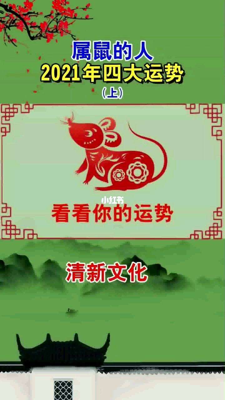 鼠年马年运势(鼠年属马人的全年运势)