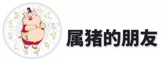 2019年12属相每月运势(2019十二月生肖运势天天看)