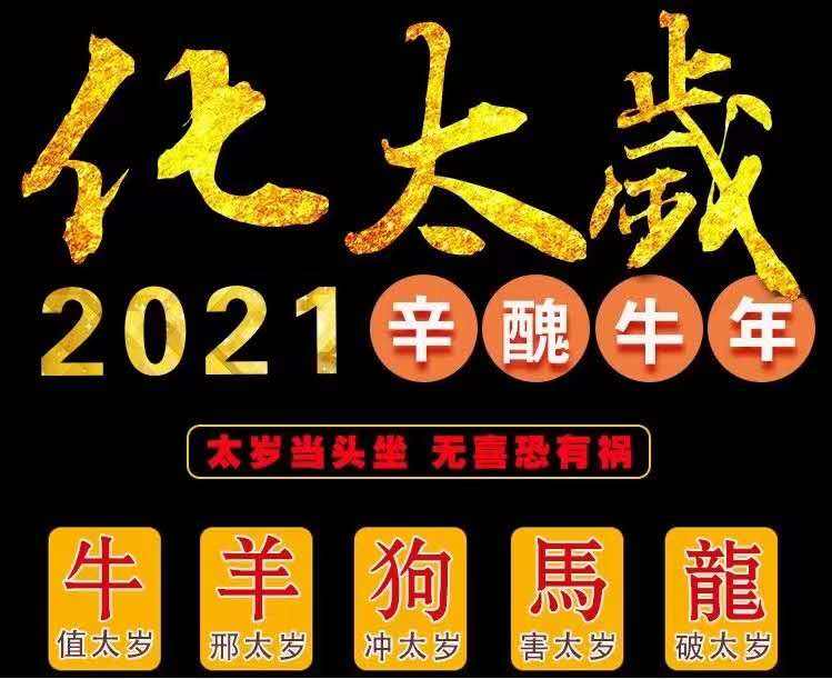 2019年12属相每月运势(2019十二月生肖运势天天看)