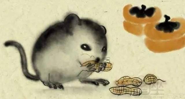 1984年2015年运势(1984年属2009年运势)