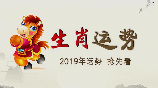 2019生肖马的运势大全(2019生肖马的运势大全及运程)