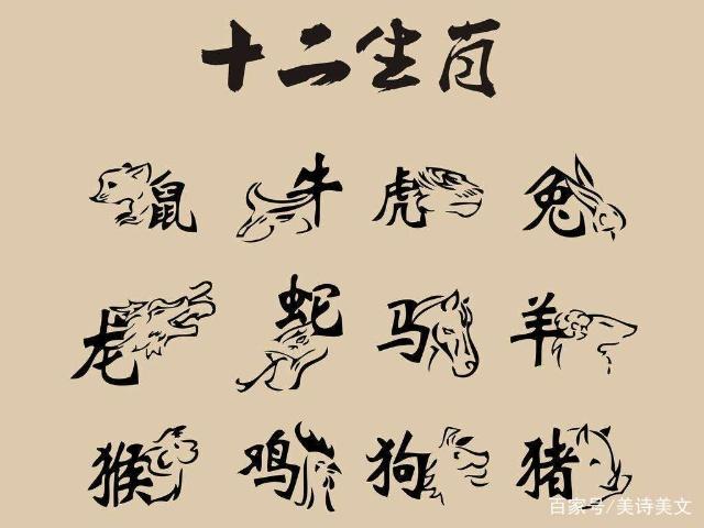 八字上子鼠寅虎合不合(八字上子鼠寅虎合不合财)