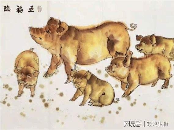 属狗和属猪合不合指数(属狗和属猪的八字合不合)