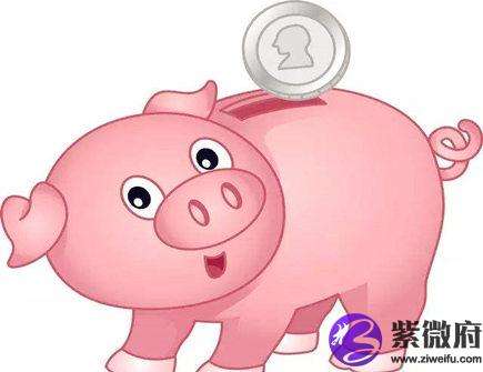 今年属猪人的运势(2018年属猪人的运势)