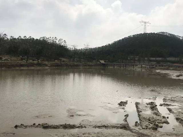 照现生态合不合法的简单介绍