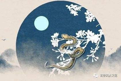 2020年属蛇全年运势(属蛇今年运势2020年运势)