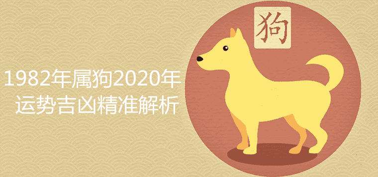 生肖属狗2019年运势(生肖属狗2019年运势怎样)