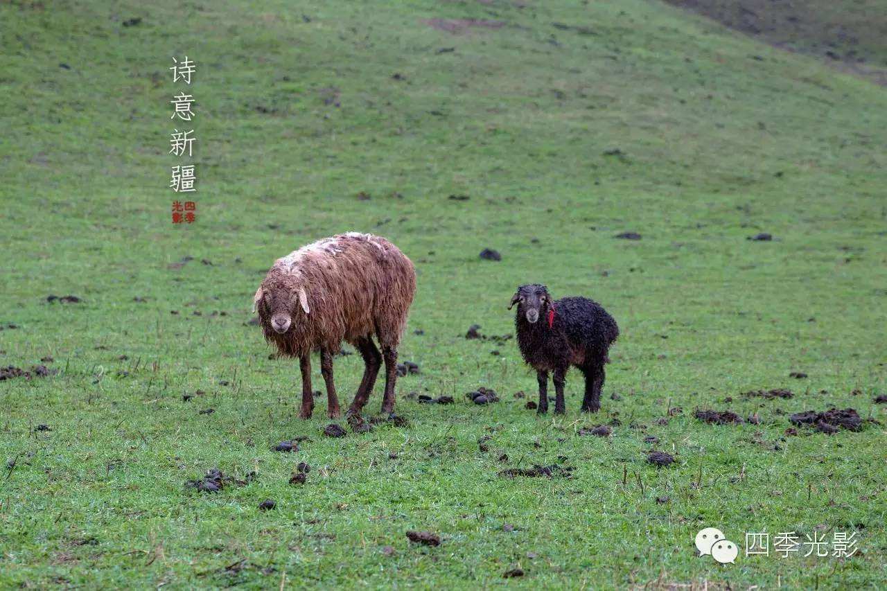 母子都属羊性格合不合(母亲属马女儿属羊性格合不合)