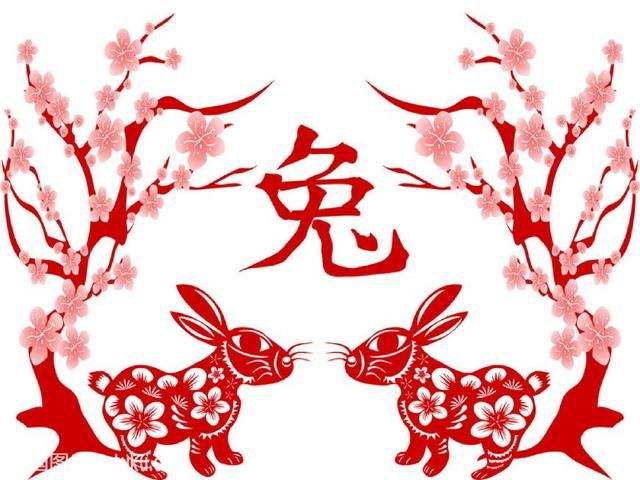 属兔猪年运势2019年(兔年运势2019年运势如何)