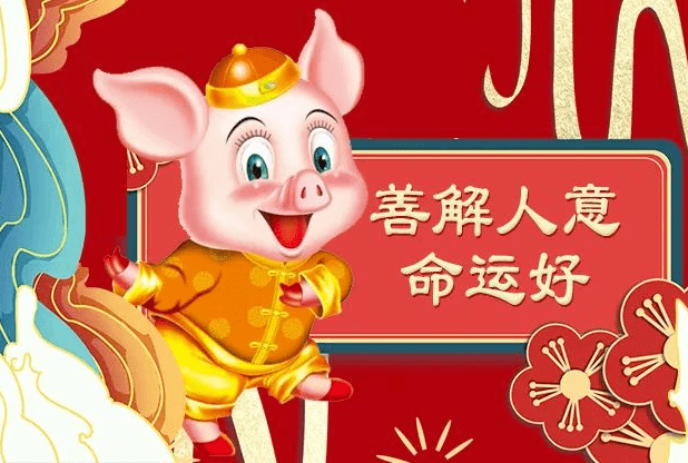 属猪和属兔孩子合不合(属猪和属兔孩子合不合财)