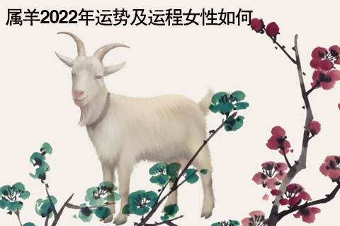 属羊的7月份运势(属羊的7月份运势怎样)