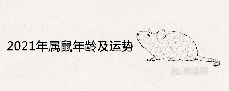 1996年属鼠2021年运势(1996年属鼠2021年运势及运程女)