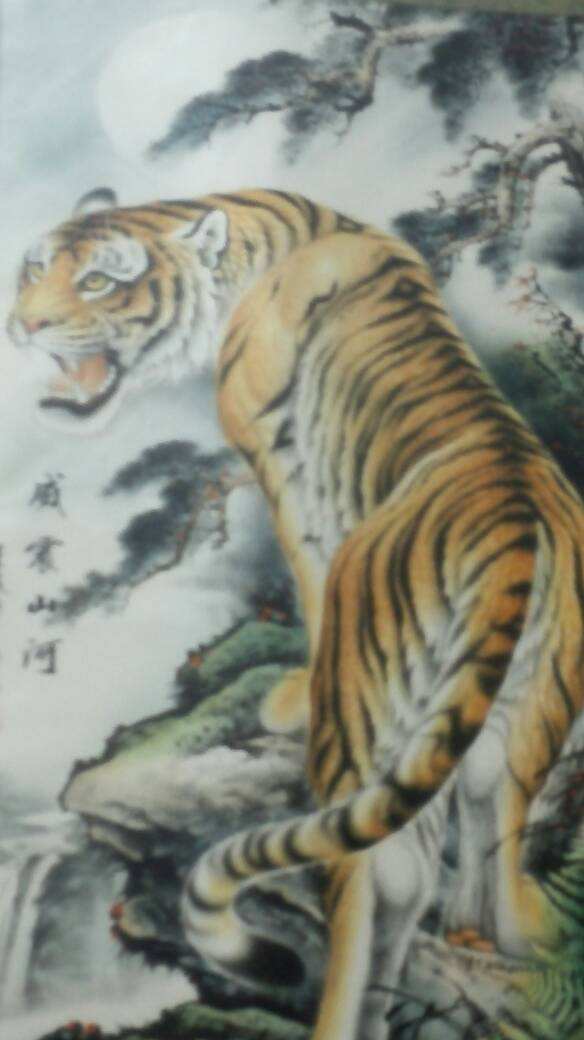 下山虎和属合不合(下山虎和下山虎的命理)