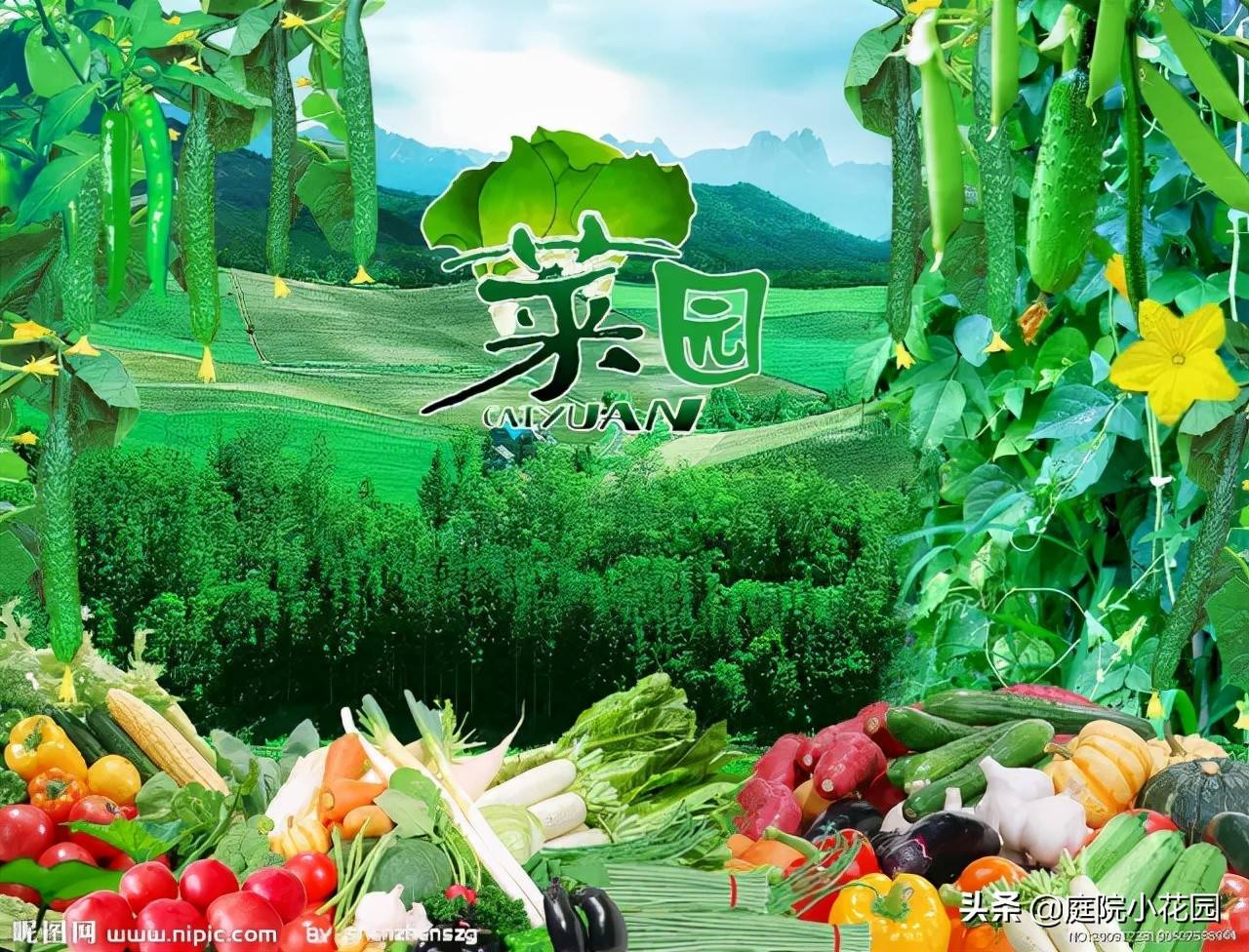 自留地合不合法(自留地合不合法征收)