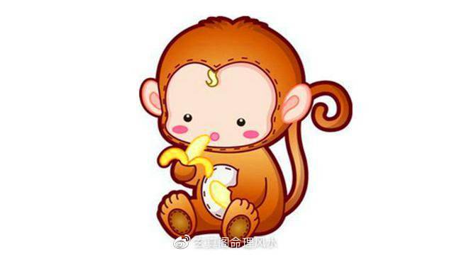2015年属猴人每月运势(2015年属猴人每月运势怎么样)
